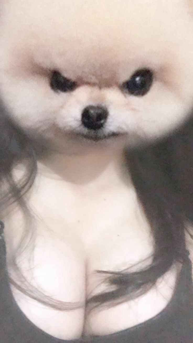 Vú Đẹp Tự Nhiên 15